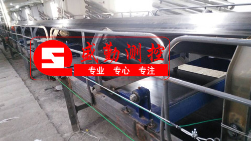 Ƥ���Ӱ��b�F(xi��n)��(ch��ng)