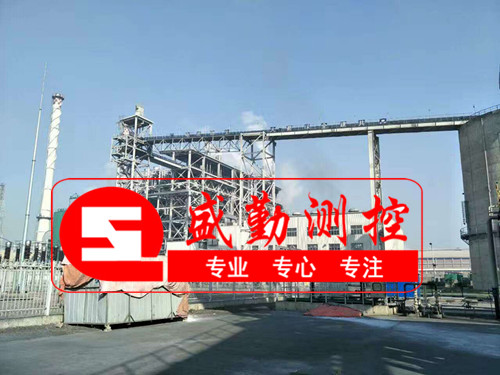 巴基斯坦皮帶秤現(xiàn)場 巴基斯坦皮帶秤現(xiàn)場