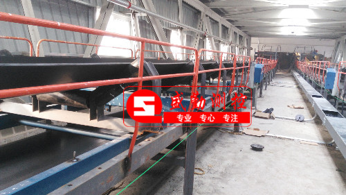 生物質(zhì)皮帶秤 生物質(zhì)皮帶秤