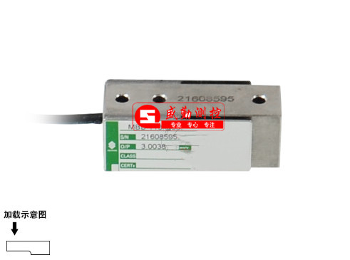 MBB�ͷQ�؂�����